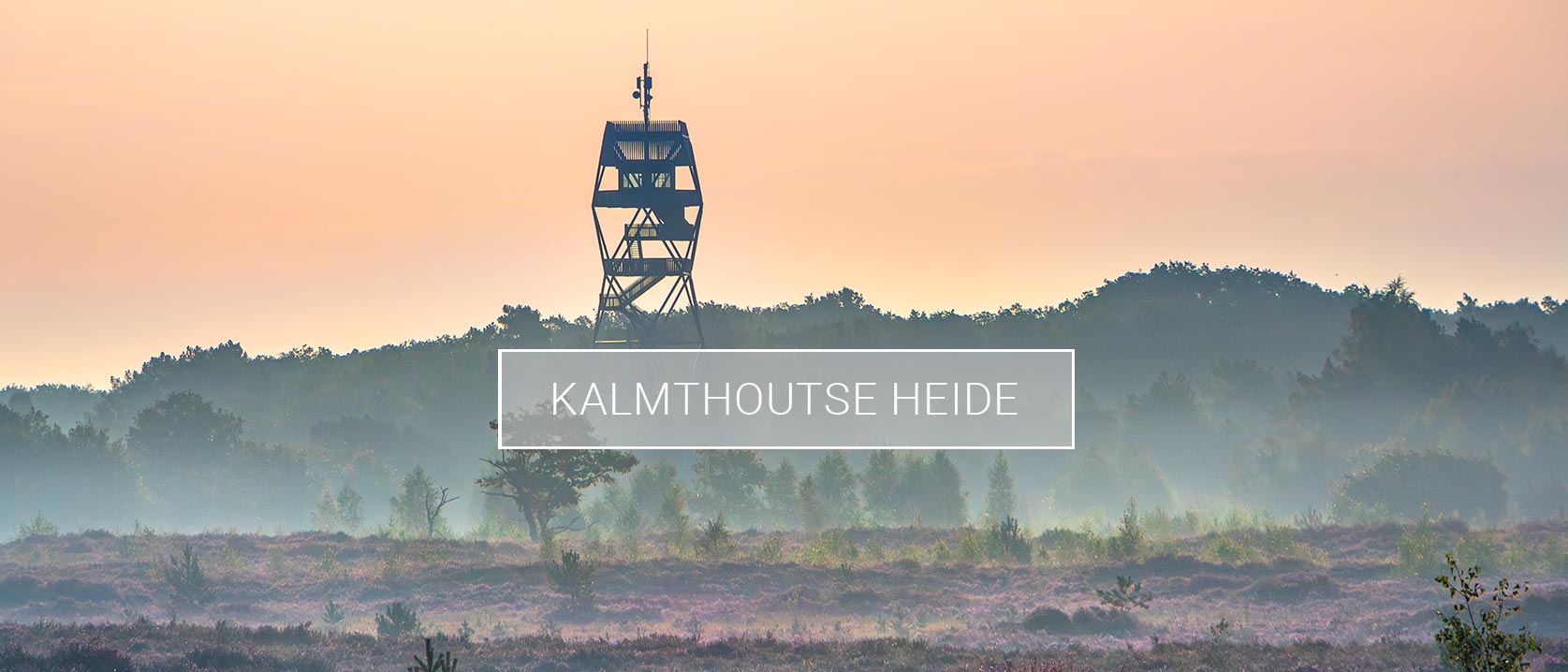 Headerfoto van collectie Kalmthoutse Heide
