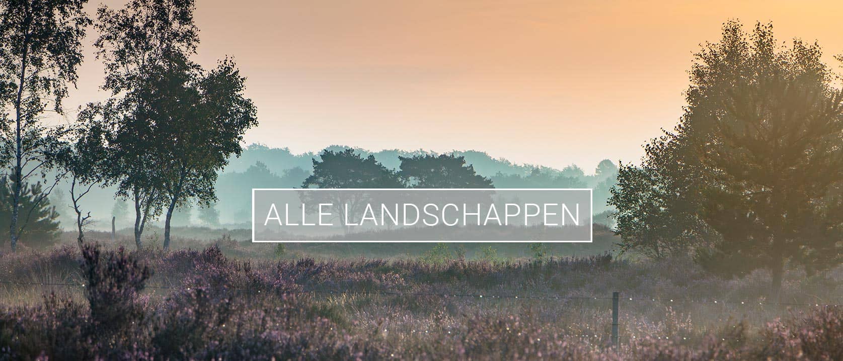 Headerfoto van collectie Alle landschappen