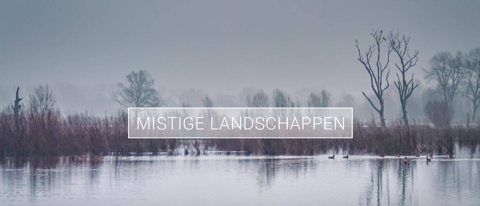 Headerfoto van collectie Mistige landschappen
