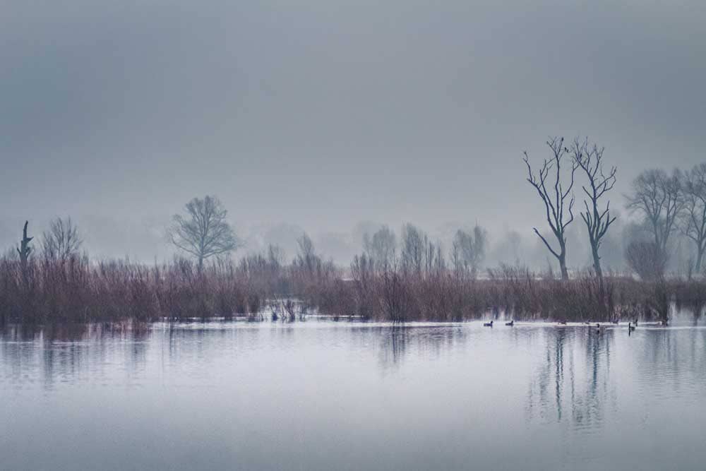 Thumbnail voor collectie Mistige landschappen